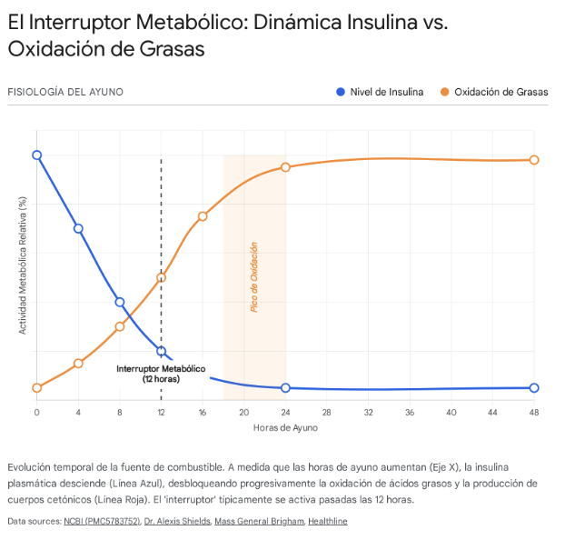 Dinámica Insulina vs. oxidación de grasas