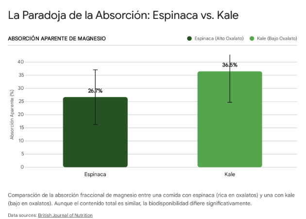Espinaca y kale absorción
